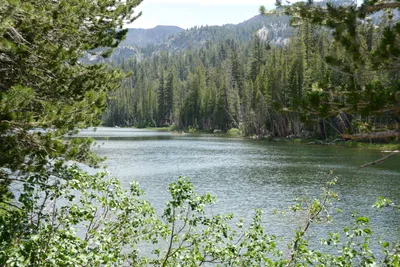 DSC_3227 (Large).JPG